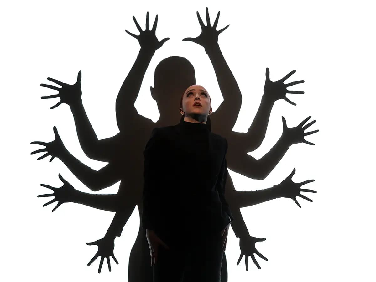 Vox Sturnus | Traveling light